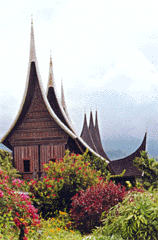 Building of the P.D.I.K.M. 1999